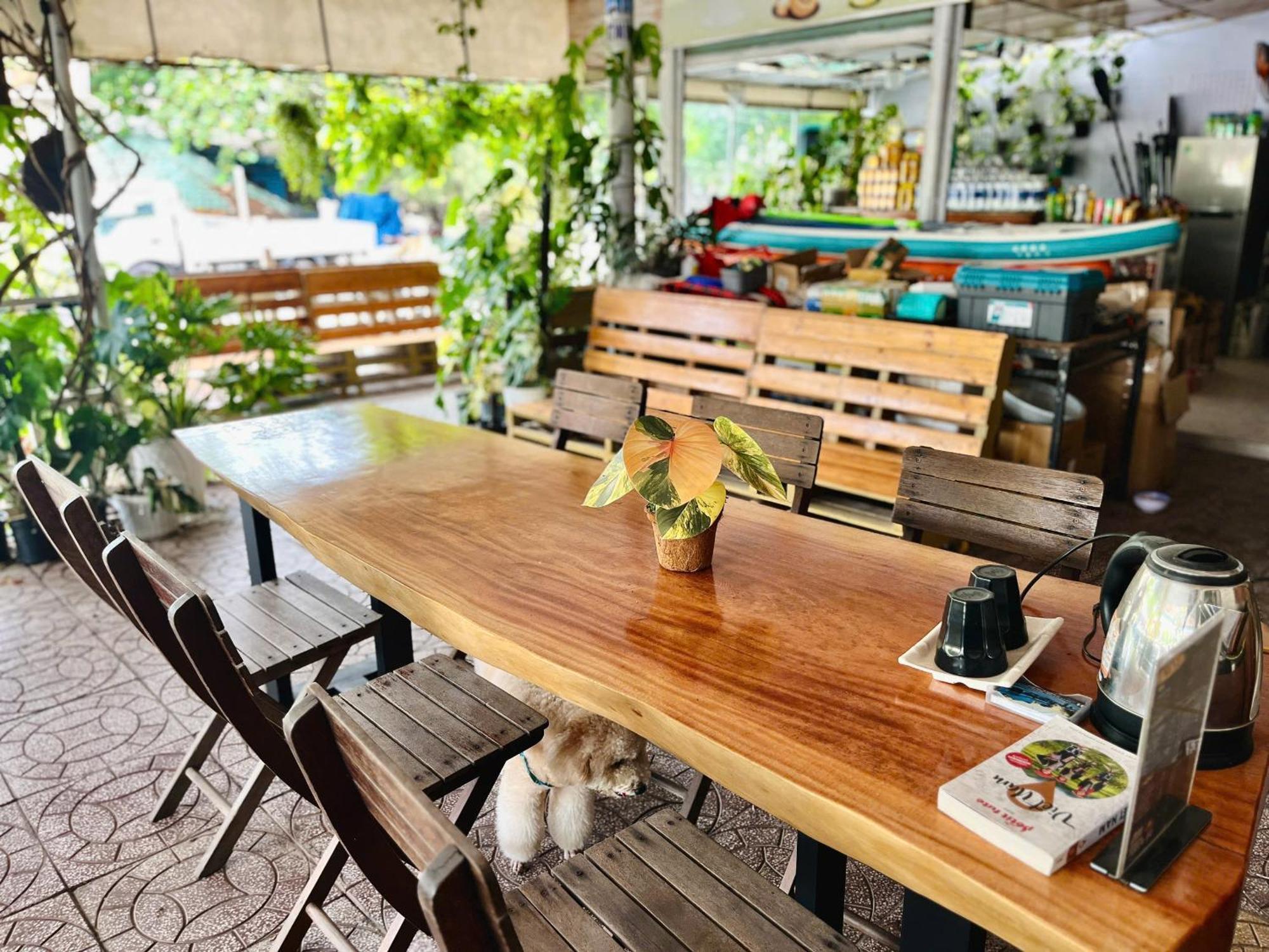 N'T Homestay Mui Ne Dış mekan fotoğraf